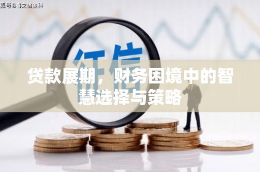 海拉尔贷款展期，财务困境中的智慧选择与策略