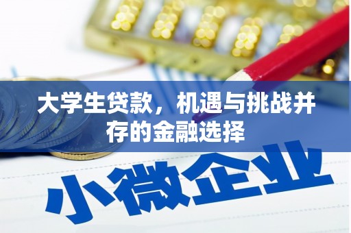 海拉尔大学生贷款，机遇与挑战并存的金融选择