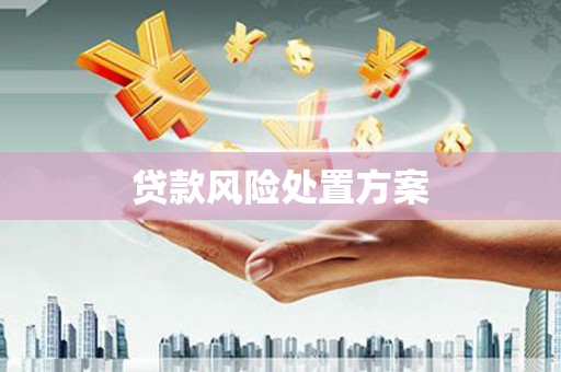 海拉尔贷款风险处置方案