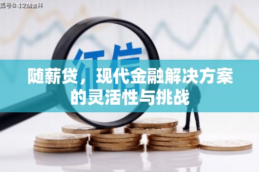 海拉尔随薪贷，现代金融解决方案的灵活性与挑战