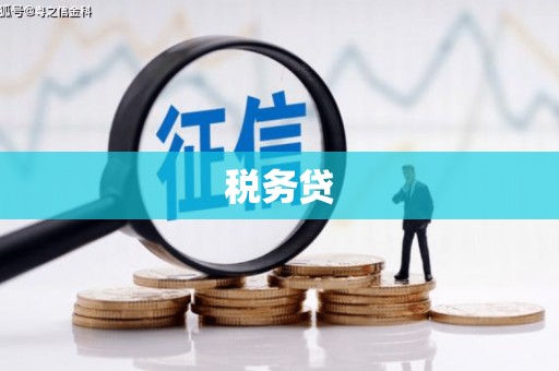 海拉尔税务贷