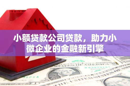 海拉尔小额贷款公司贷款，助力小微企业的金融新引擎