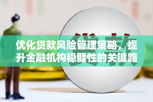 海拉尔优化贷款风险管理策略，提升金融机构稳健性的关键路径