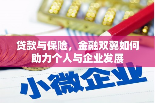 海拉尔贷款与保险，金融双翼如何助力个人与企业发展
