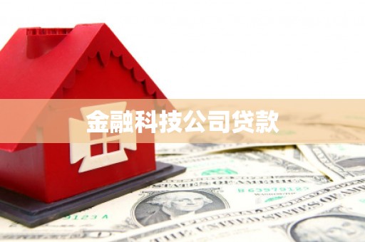 海拉尔金融科技公司贷款