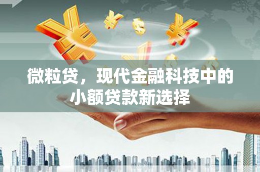 海拉尔微粒贷，现代金融科技中的小额贷款新选择