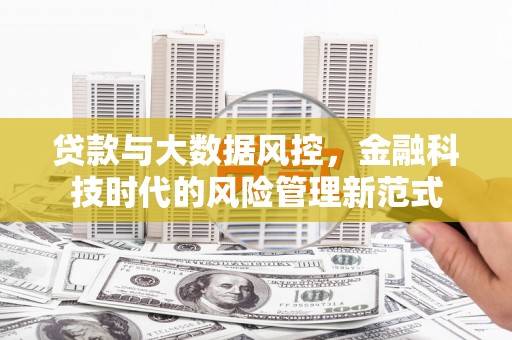 海拉尔贷款与大数据风控，金融科技时代的风险管理新范式