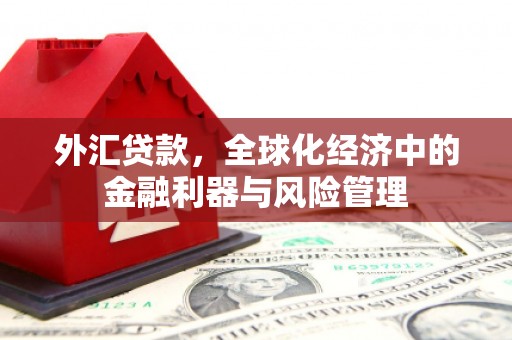海拉尔外汇贷款，全球化经济中的金融利器与风险管理
