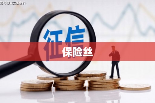 海拉尔保险丝