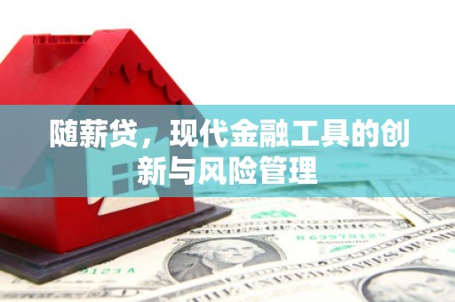 海拉尔随薪贷，现代金融工具的创新与风险管理