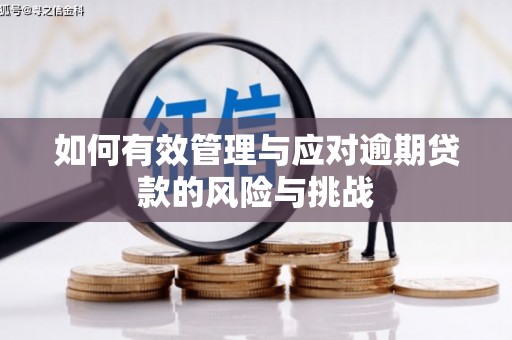 海拉尔如何有效管理与应对逾期贷款的风险与挑战
