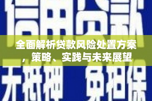 海拉尔全面解析贷款风险处置方案，策略、实践与未来展望