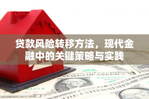 海拉尔贷款风险转移方法，现代金融中的关键策略与实践