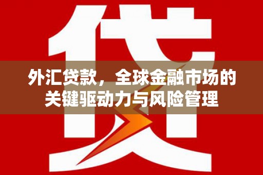 海拉尔外汇贷款，全球金融市场的关键驱动力与风险管理