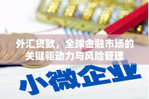海拉尔外汇贷款，全球金融市场的关键驱动力与风险管理