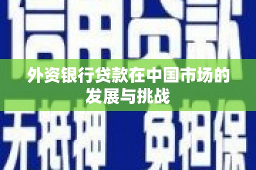 海拉尔外资银行贷款在中国市场的发展与挑战