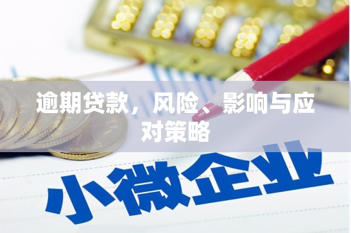 海拉尔逾期贷款，风险、影响与应对策略