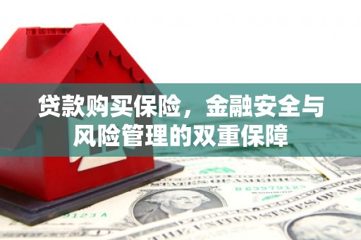 海拉尔贷款购买保险，金融安全与风险管理的双重保障