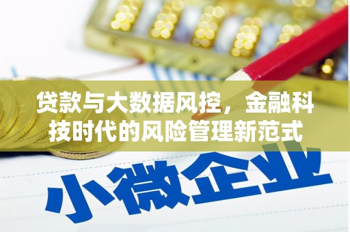 海拉尔贷款与大数据风控，金融科技时代的风险管理新范式