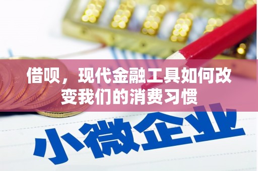 海拉尔借呗，现代金融工具如何改变我们的消费习惯
