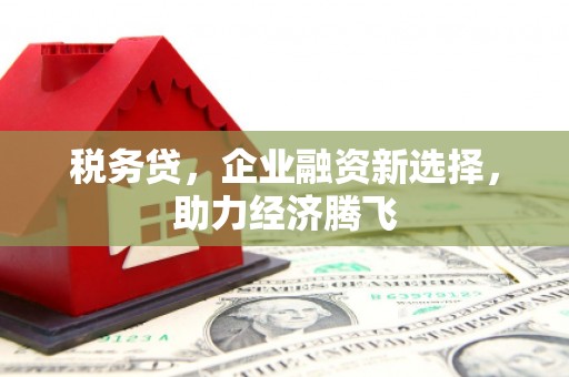 海拉尔税务贷，企业融资新选择，助力经济腾飞