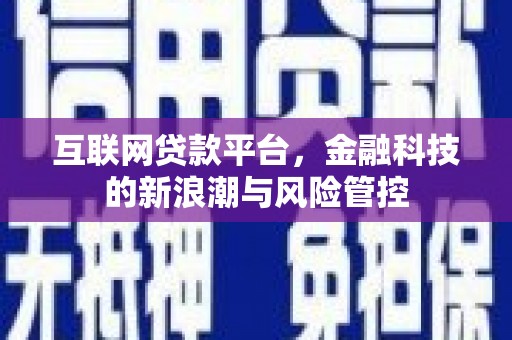 海拉尔互联网贷款平台，金融科技的新浪潮与风险管控