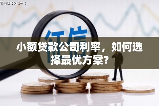 海拉尔小额贷款公司利率，如何选择最优方案？