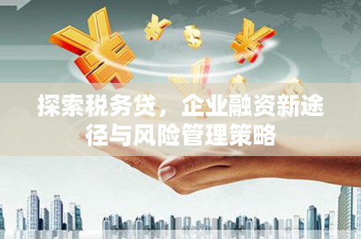 海拉尔探索税务贷，企业融资新途径与风险管理策略