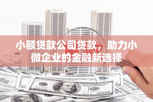 海拉尔小额贷款公司贷款，助力小微企业的金融新选择