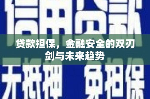 海拉尔贷款担保，金融安全的双刃剑与未来趋势
