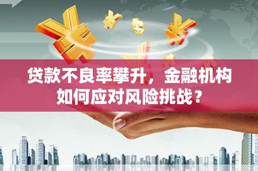 海拉尔贷款不良率攀升，金融机构如何应对风险挑战？