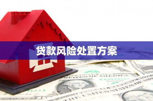 海拉尔贷款风险处置方案