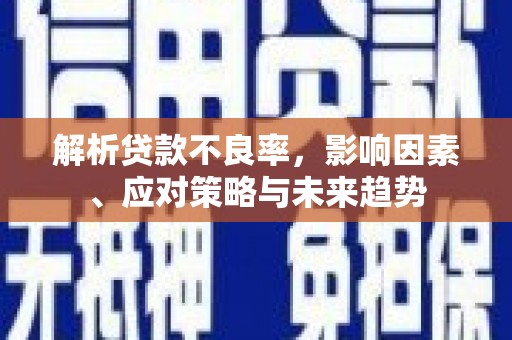 海拉尔解析贷款不良率，影响因素、应对策略与未来趋势