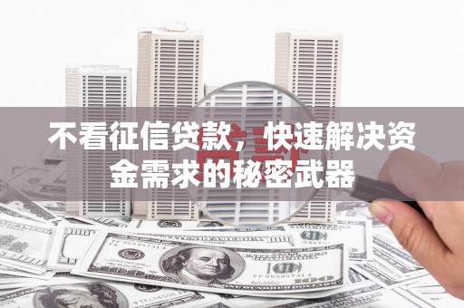 海拉尔不看征信贷款，快速解决资金需求的秘密武器