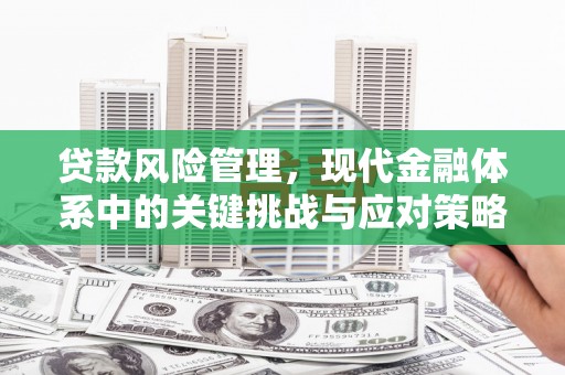 海拉尔贷款风险管理，现代金融体系中的关键挑战与应对策略