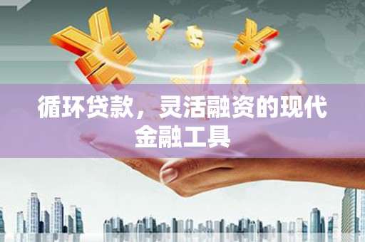 海拉尔循环贷款，灵活融资的现代金融工具