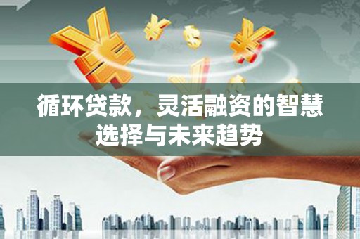 海拉尔循环贷款，灵活融资的智慧选择与未来趋势