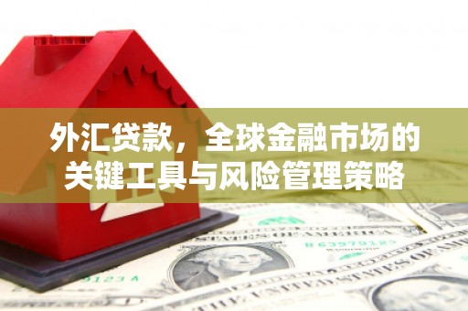海拉尔外汇贷款，全球金融市场的关键工具与风险管理策略