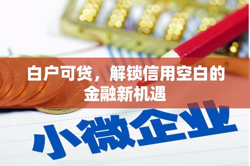 海拉尔白户可贷，解锁信用空白的金融新机遇