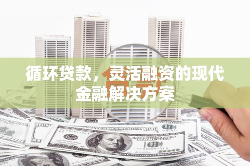 海拉尔循环贷款，灵活融资的现代金融解决方案