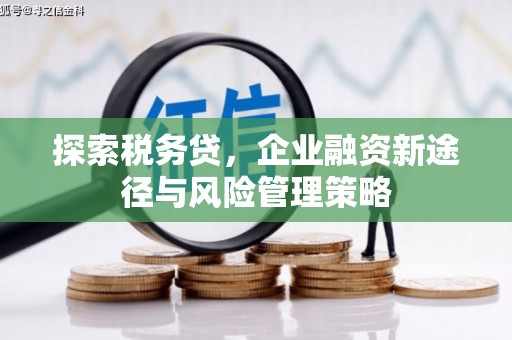 海拉尔探索税务贷，企业融资新途径与风险管理策略