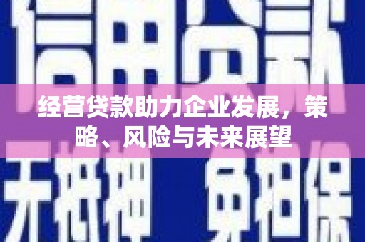 海拉尔经营贷款助力企业发展，策略、风险与未来展望