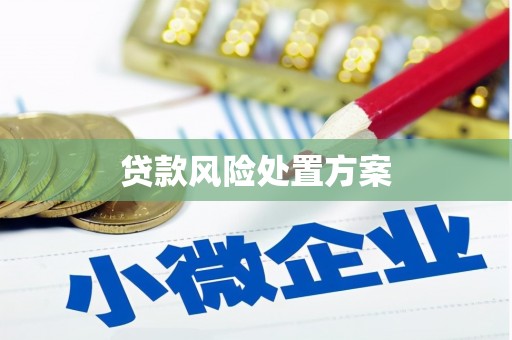 海拉尔贷款风险处置方案