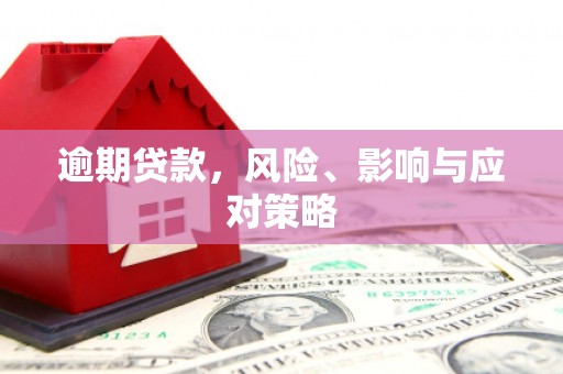 海拉尔逾期贷款，风险、影响与应对策略