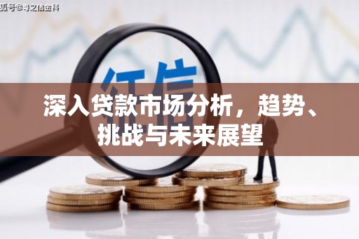 海拉尔深入贷款市场分析，趋势、挑战与未来展望