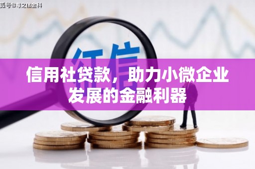 海拉尔信用社贷款，助力小微企业发展的金融利器