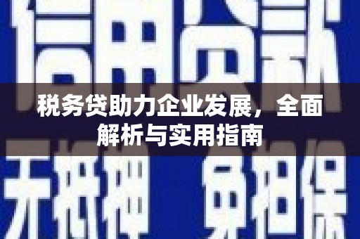 海拉尔税务贷助力企业发展，全面解析与实用指南