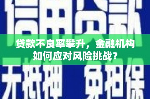 海拉尔贷款不良率攀升，金融机构如何应对风险挑战？