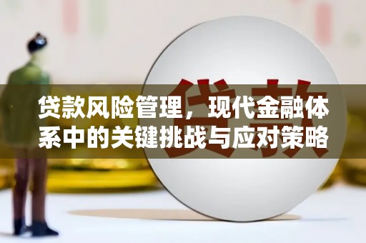 海拉尔贷款风险管理，现代金融体系中的关键挑战与应对策略