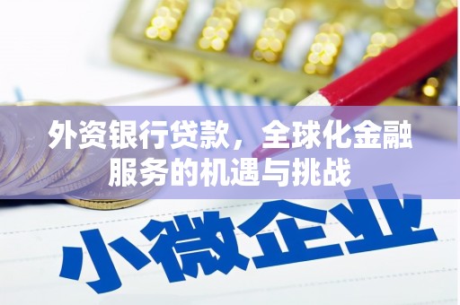 海拉尔外资银行贷款，全球化金融服务的机遇与挑战